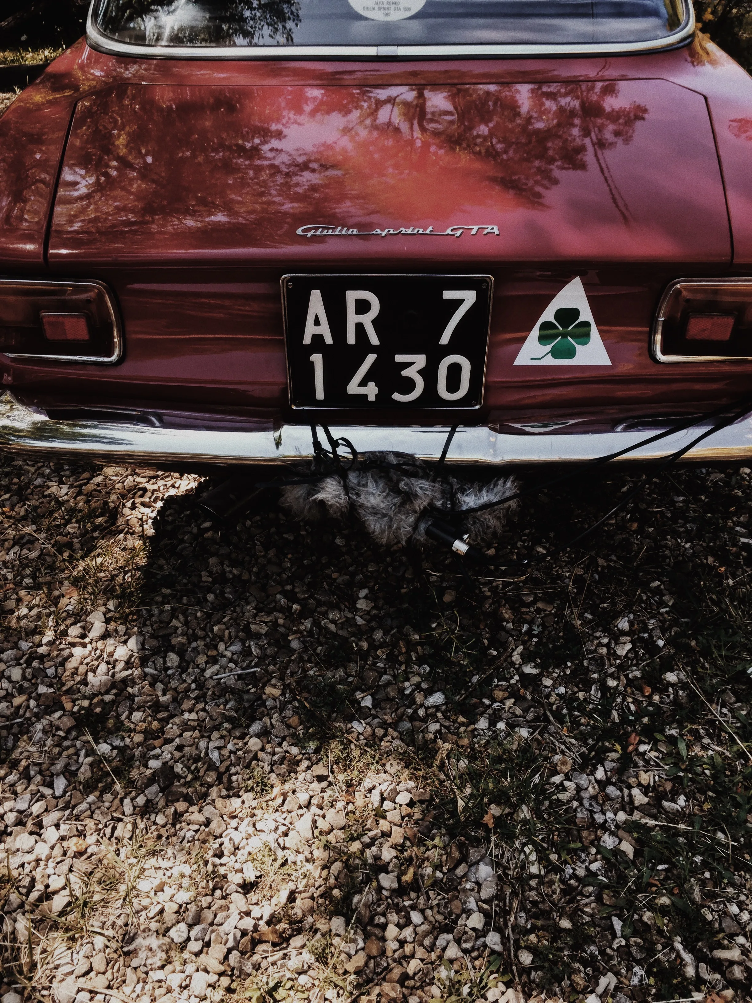 Microphone underneath an Alfa Romeo Giulia Sprint GTA